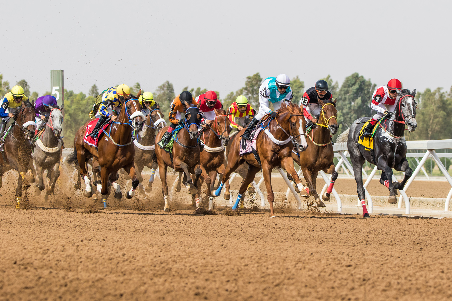 king-khalid-race-track